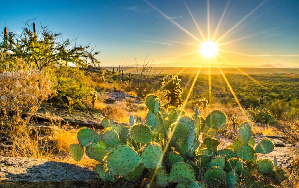 Tips for Dealing With Southern Arizona's Summer Heat - Castle Cooke Arizona