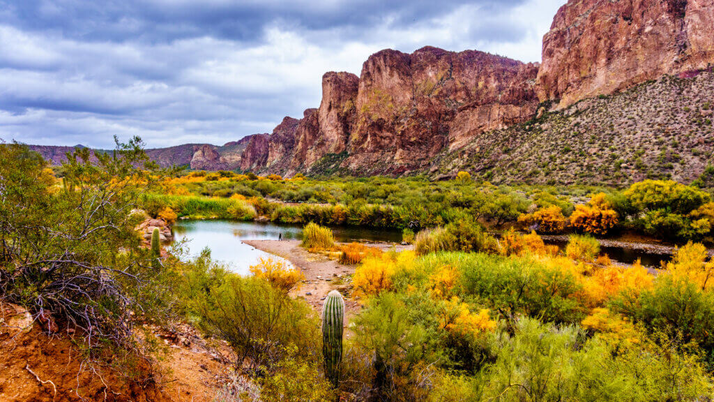 6 Things You'll Need for Your Trip to San Pedro Riparian National ...